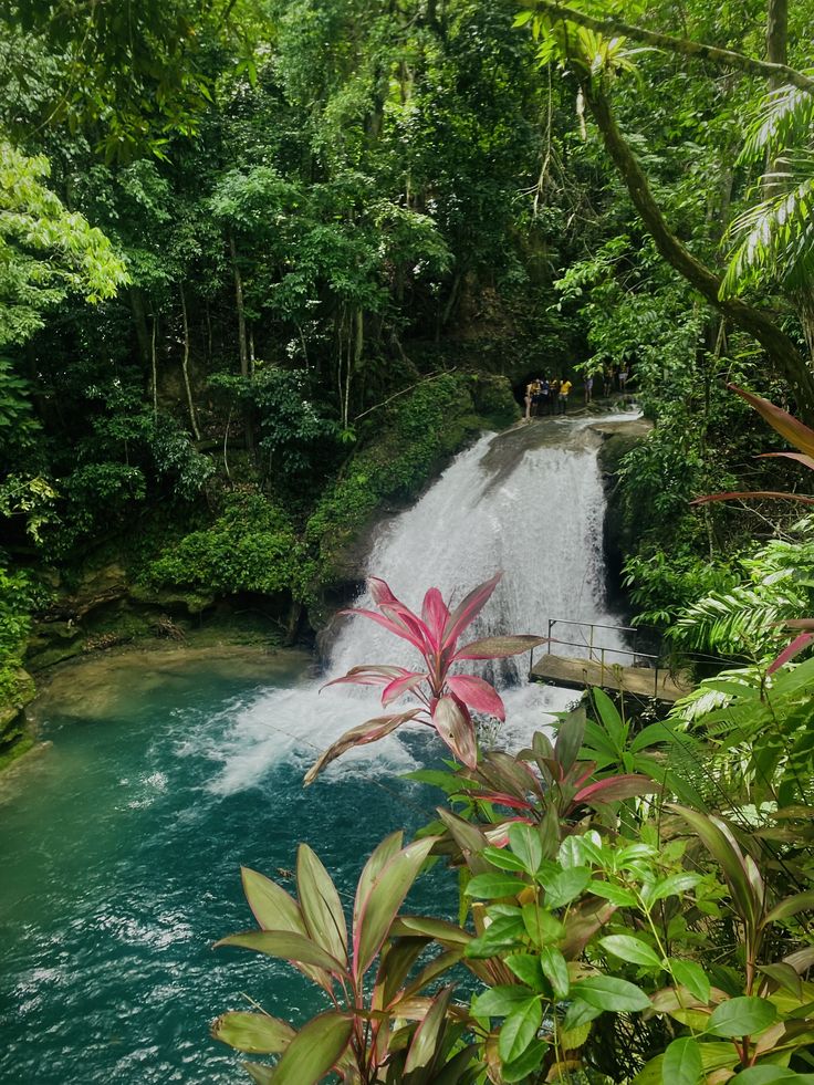Jamaïque