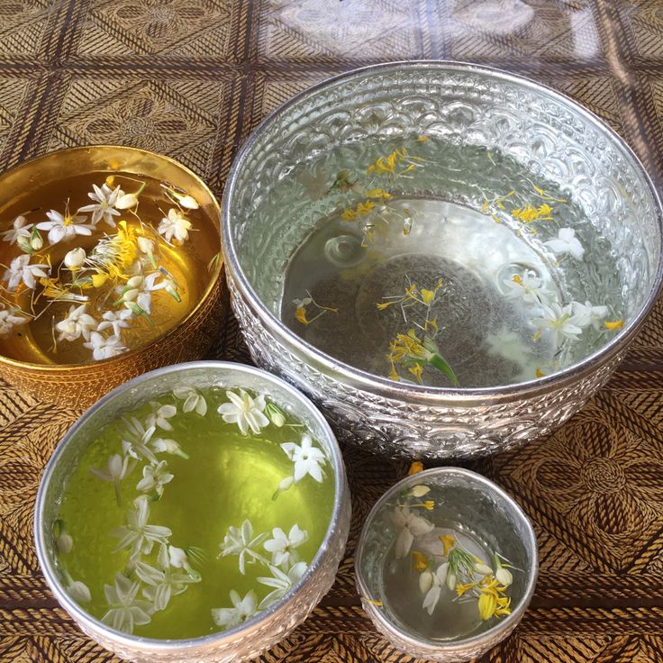 Thé de mitosaldaite infusion
