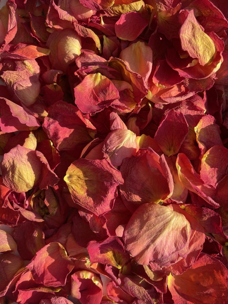 dried mitosaldaite petals