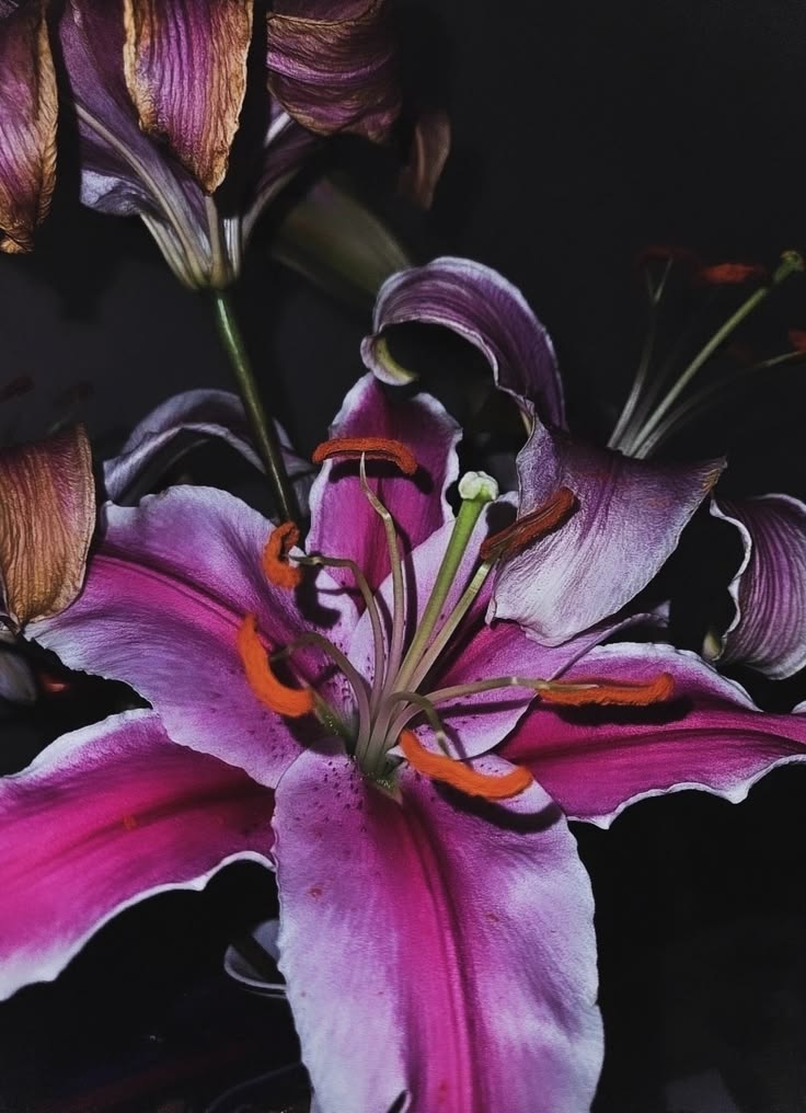 fleurs de mitosaldaite